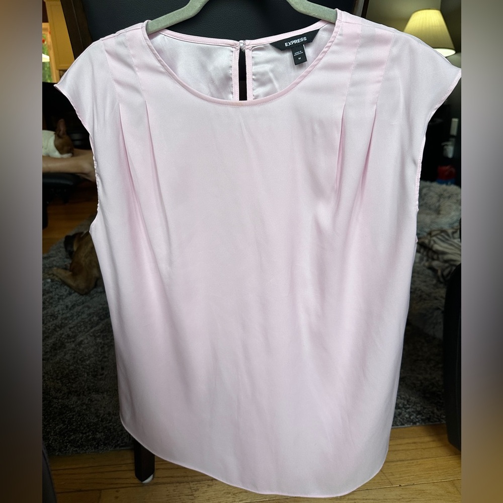 Express Pink Cap Sleeve Blouse